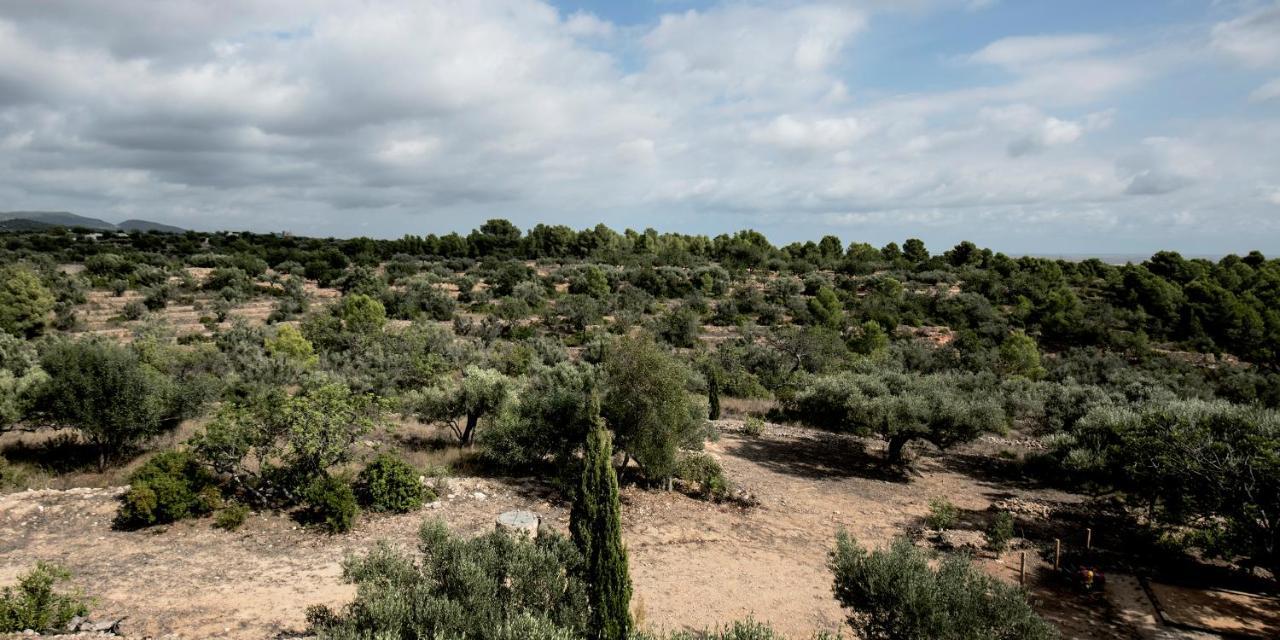 טורטוסה Finca Jabali מראה חיצוני תמונה